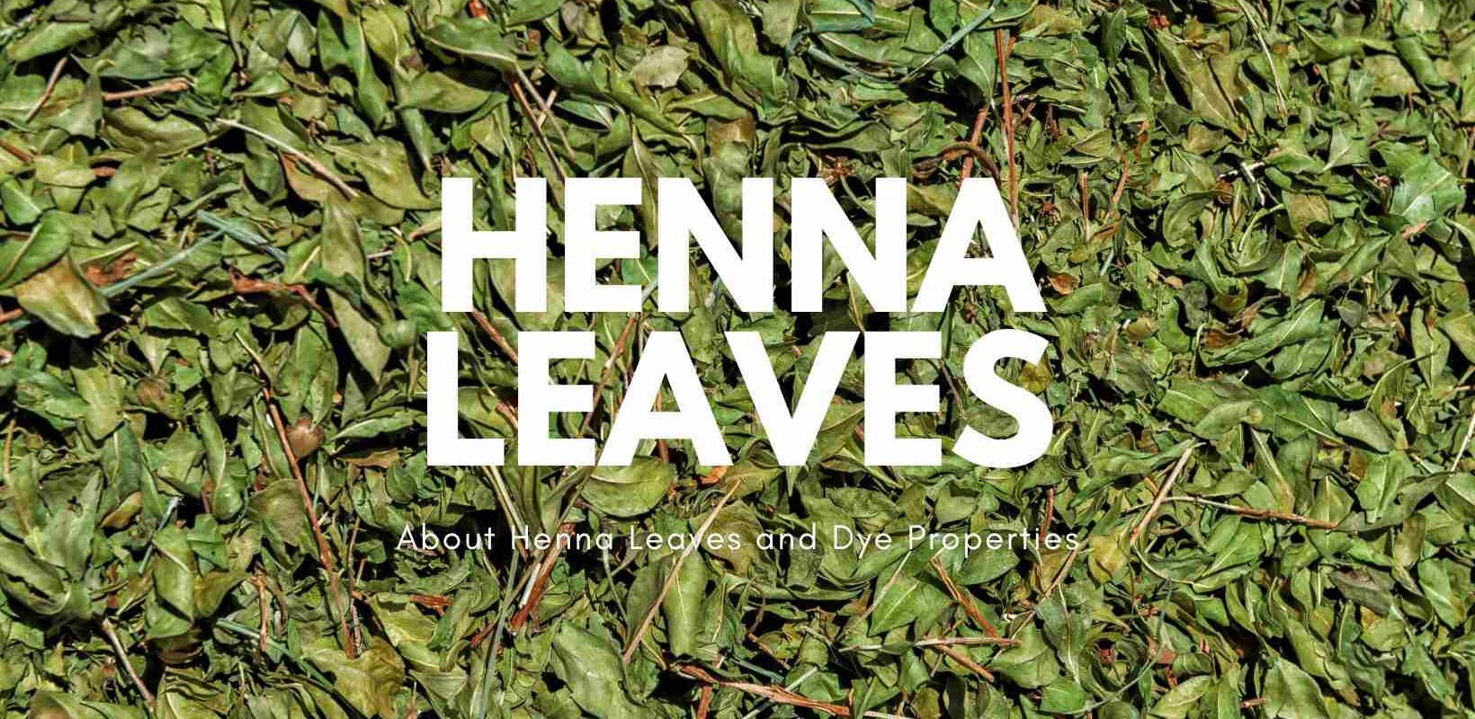 Henna Leaves and Dye
